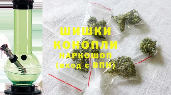 прущие грибы Абдулино