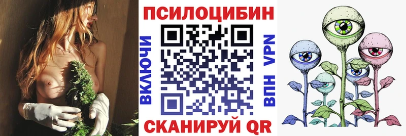 Галлюциногенные грибы Psilocybe  дарнет шоп  Назрань 