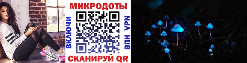 Псилоцибиновые грибы Cubensis Назрань