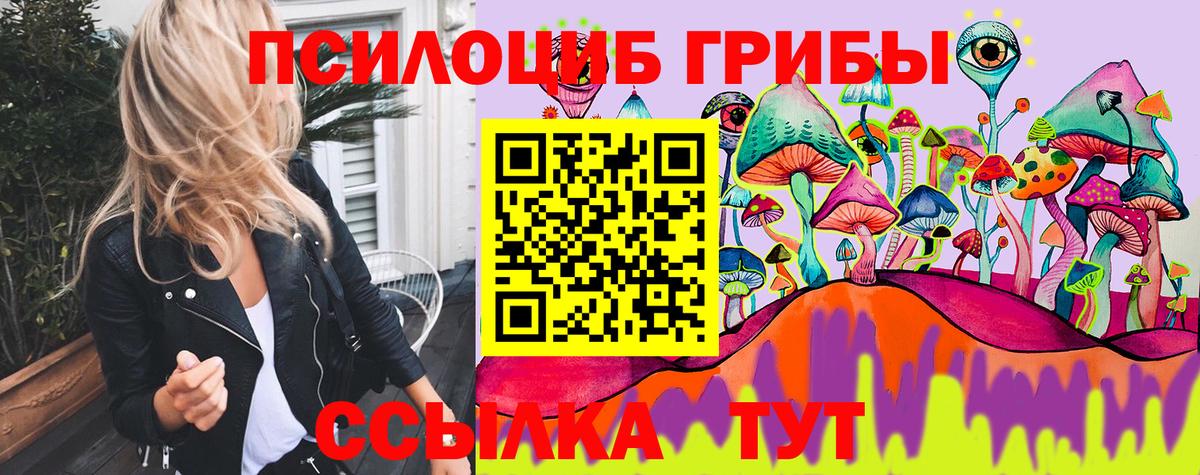 Псилоцибиновые грибы Psilocybe Назрань