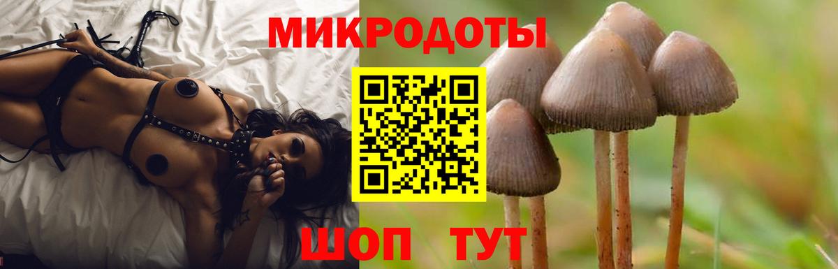 купить  цена  Галлюциногенные грибы ЛСД  Назрань  Вход с VPN  Галлюциногенные грибы мицелий 